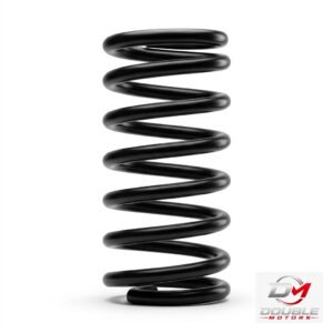DM Lowering Spring Kit